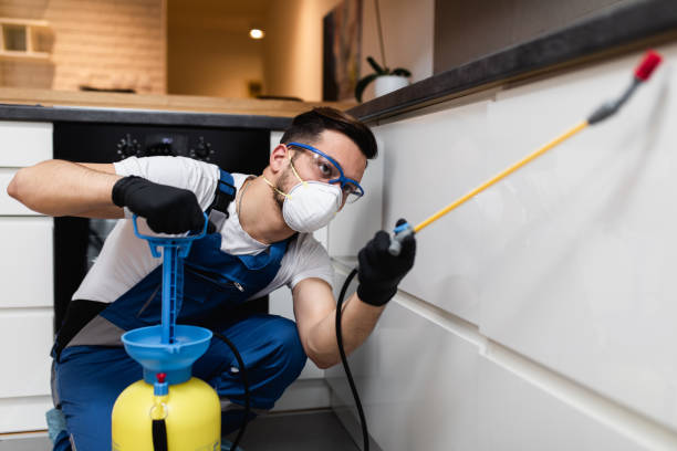 Best Termite Control Services  in Hoisington, KS