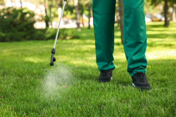 Best Pest Inspection Near Me  in Hoisington, KS