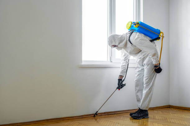 Best Residential Pest Control  in Hoisington, KS