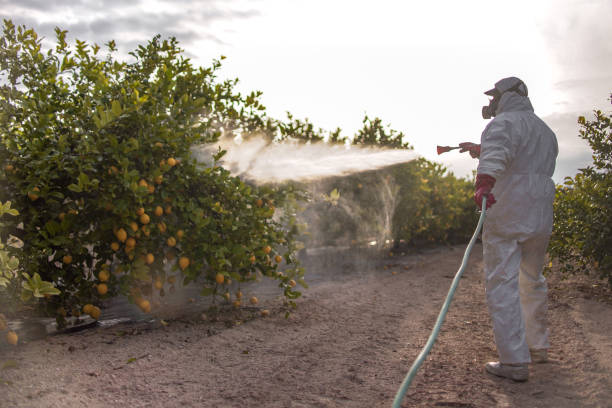 Best Rat Extermination Near Me  in Hoisington, KS