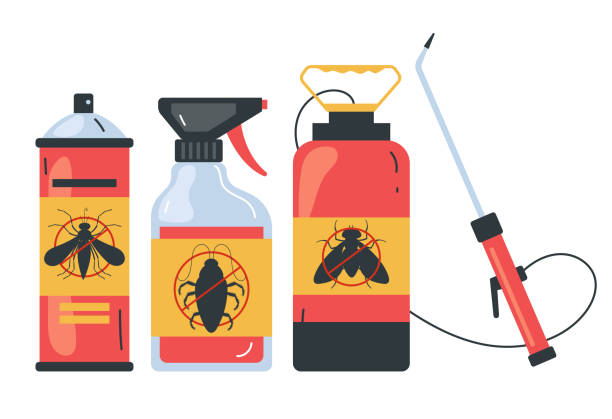 Best Termite Control Services  in Hoisington, KS