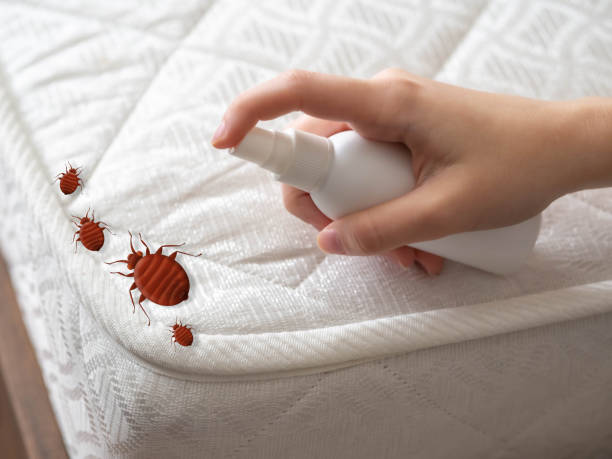 Best Mosquito Control Services  in Hoisington, KS