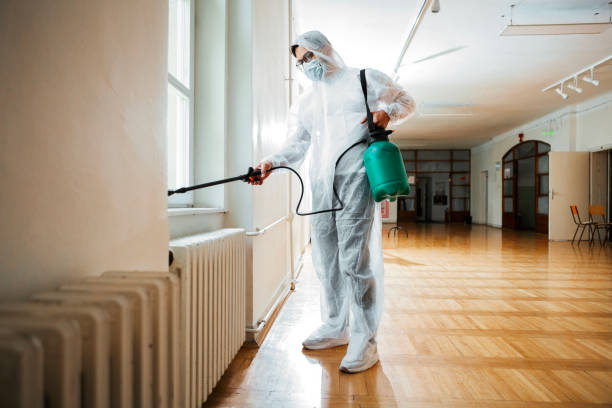 Best Bed Bug Extermination  in Hoisington, KS